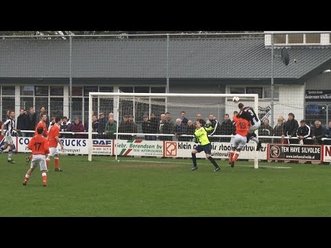 Samenvatting Silvolde - DVV  17-11-2013