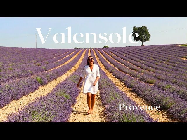 Travel vlog - Beautiful VALENSOLE in PROVENCE! Alone on a Road trip to FRENCH LAVENDER Fields 💜