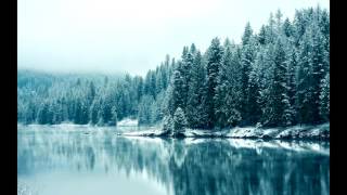 11ndecim - The Architect Of Winter