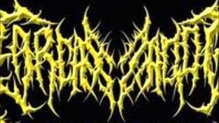 Types of Pig Squeals.