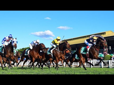 STRADBROKE HANDICAP 2021 | TOFANE |
