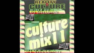 Culture # 11 - 2013 Reggae & Culture Mix - Chronixx,Kabaka Pyramid,Tarrus Riley,