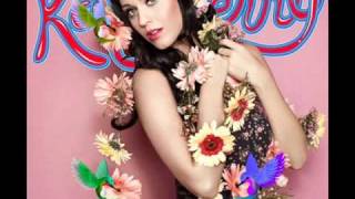 Katy Perry - Hummingbird Heartbeat (Acoustic)