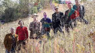 The Honeydogs  -  Wheels