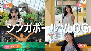 【シンガポールVLOG】絶景ナイトプールにUSS！最高の旅を満喫…🇸🇬大満足の観光＆爆食ツアー！