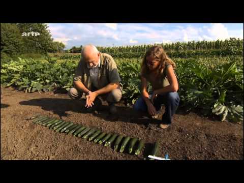 die Saatgutretter 2 (unbedingt ansehen!!!!!)