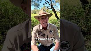 How many wanks have you had? #askanyaussie #crocturnbull #satire #wank #aussiehumour #aussie #beer