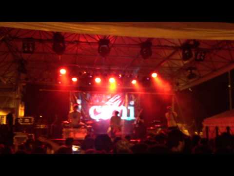 I Cani - Door Selection