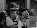 Monkey Business (1952) Trailer
