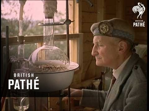 Scent From The Moors (1961)