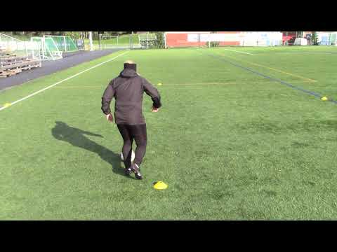 10  KULJETUS + SISÄULKO HARHAUTUS