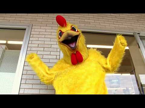 Latin Poetry Key 4: Meter