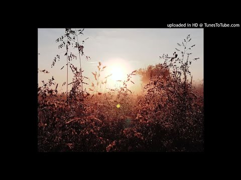 Mihajtoma - Absolutnie // 2019r.