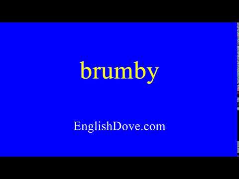 How to pronounce brumby in American English.