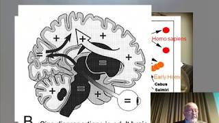 "Evolutionary context: the emergence of the modern human mind" by Prof Trevor Watkins
