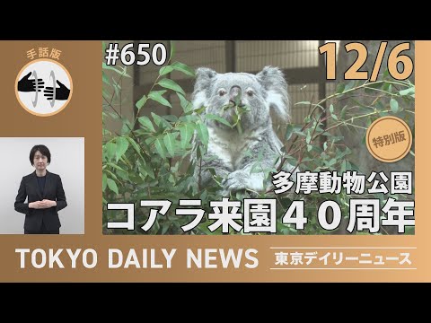 【手話版】多摩動物公園コアラ来園40周年（令和6年12月6日 東京デイリーニュース特別版）
