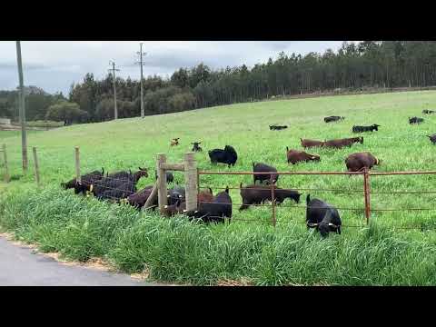 Продажа Мурсия Гранада (Murcia Granada)