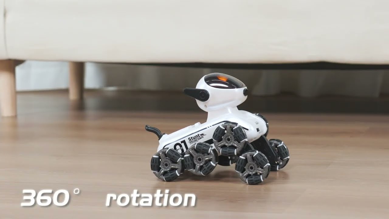 RoboDog Fleg