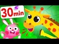 Where Are My Friends Hide Seek With Sophie The Giraffe Bunny Games And Play By Little Angel