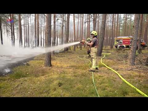 Babben: Feuerwehrleute bei Waldbrand verletzt - LAUSITZWELLE