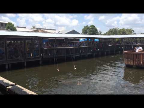 Day 9 - Summer Cruise - Orlando, Florida