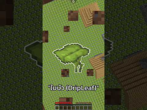 "Insane Minecraft World with Only Drip Leaf Lotus Leaves!" #Shorts