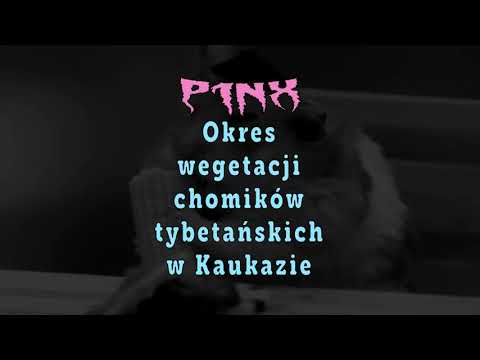 P1NX - Okres wegetacji chomików tybetańskich w Kaukazie
