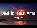 Cutting Crew - (I Just) Died In Your Arms (Lyrics)