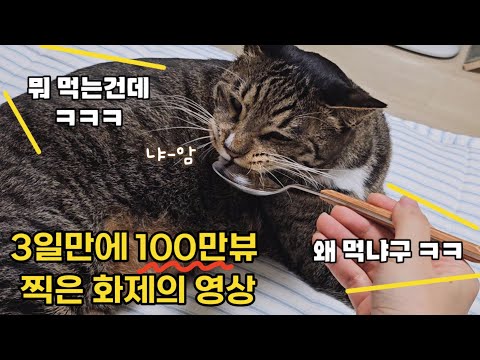 호동이 뱃살로 3일만에 100만뷰 넘었어요