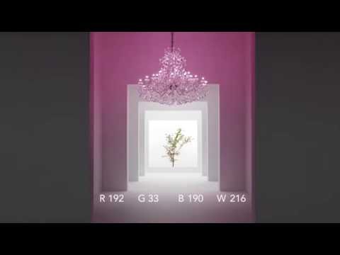 LED RGB-W COLOURFUL MASIERO