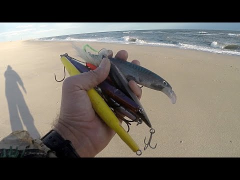The TOP #5 BEST - STRIPED BASS & BLUEFISH FALL - SURF FISHING LURES for 2020