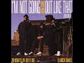 Run DMC - I'm Not Going Out Like That (Album Version) Profile records 1988