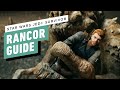 Star Wars Jedi: Survivor - How to Kill the Rancor