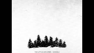 The Little Explorer - A Fork In The Road