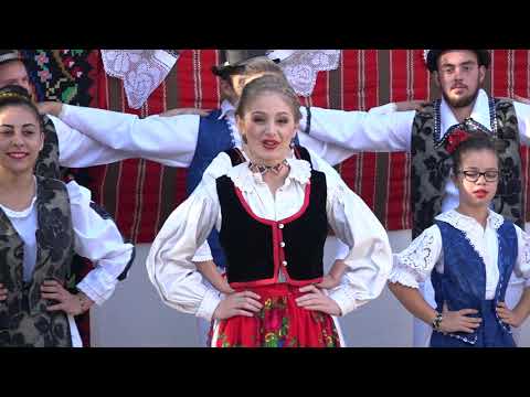 ANDREEA CHERELUSAN - ARE TATA DOUA FLORI