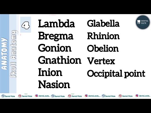 Bregma | Lambda | Nasion | Gonion | Gnathion | Inion | ￼Obelion | Rhinion | Glabella | Dr Paridhi