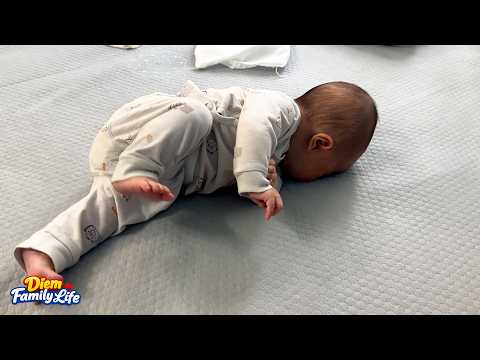 Will Baby Banh Bao successfully turn over with all her might?