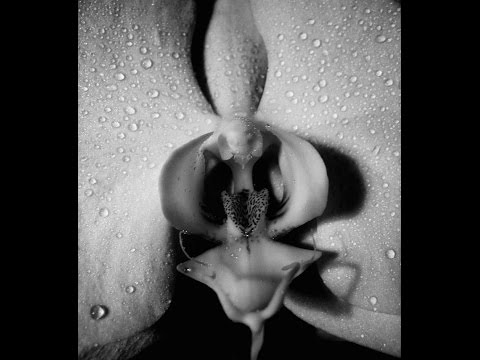 LENTO (OFFICIAL RELEASE) - AIRE NUEVO FEAT. GANJA / ANTIDOPING