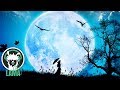 Bryan El - Moonshine | Best New Age Music - Chill Lama Bryan El - Moonshine | Best New Age Music