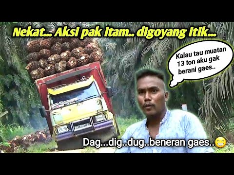 muatan sawit 13ton...nekat digoyang itik aksi pak itam...