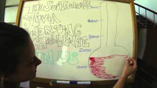 How we're doing so far...the SB Fundraising Challenge