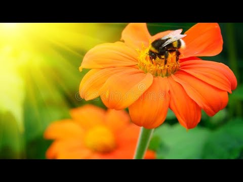 nature photography.nature photography hashtags.nature  photography.nature  photography ideas.