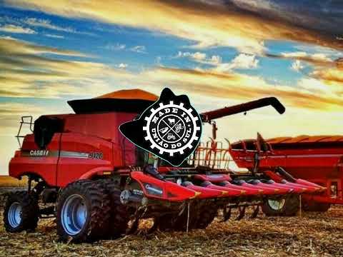 Abusando Do Álcool- Pedro Sanchez e Thiago