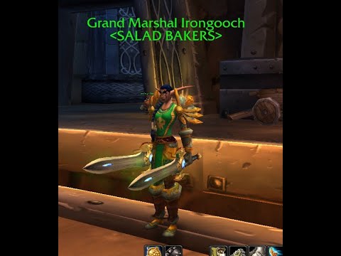 Salad Bakers AQ40 Speedrun WR 29:37 (broken) Hunter pov