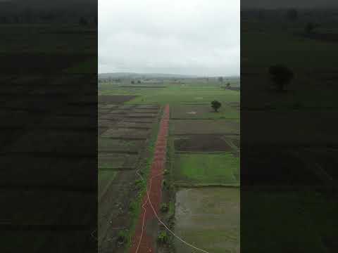 mango avenue 2 runway for Amoni Project for Recroots