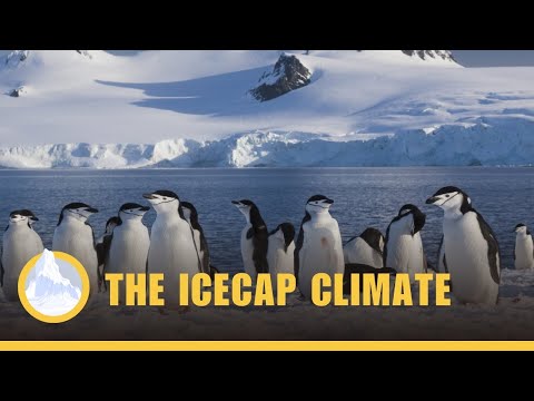 The Icecap Climate -  Climates #1