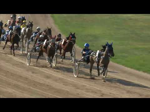 2018.04.14 6 futam Ügető