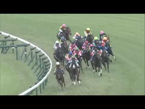 2020.10.04 Sprinters Stakes (JPN) - Gran Alegria