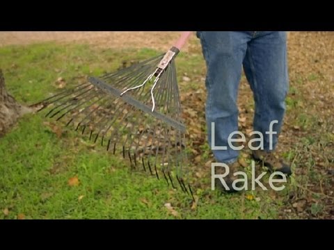 How to Use a Leaf Rake : Garden Tool Guides