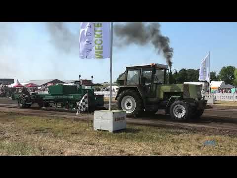 Trecker Treck Lalendorf 2023 - Oldtimer bis 5,5t
